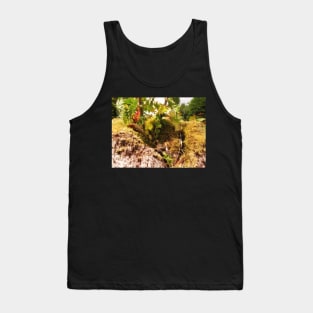 Pendle Fairy Garden Tank Top